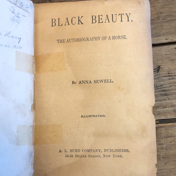 Rare Black Beauty Book (Inscription from 1906) - Picture 9 of 12